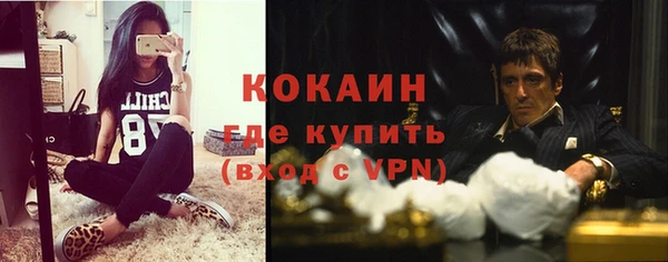 индика Алексеевка