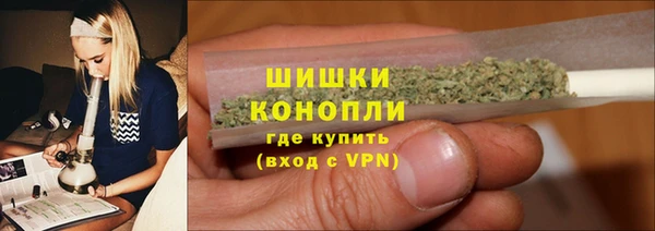 шишки Алзамай