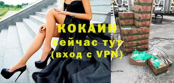 индика Алексеевка