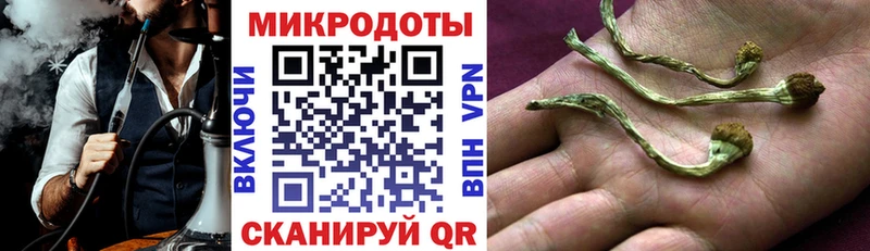 Псилоцибиновые грибы прущие грибы Харовск